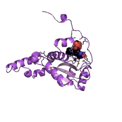 Example Structure of NADH dehydrogenase EC#: 1.6.99.3