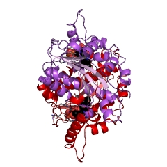 Example Structure of NADPH dehydrogenase (quinone) EC#: 1.6.99.6