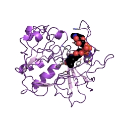 Example Structure of nitrate reductase (NADH) EC#: 1.7.1.1