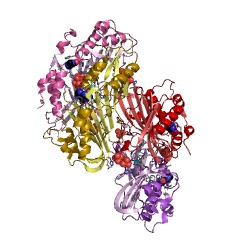 Example Structure of preQ1 synthase EC#: 1.7.1.13