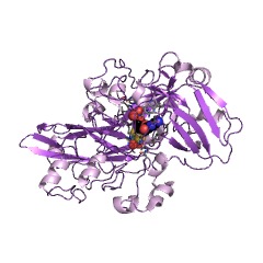 Example Structure of nitrate reductase (NADPH) EC#: 1.7.1.3