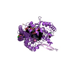 Example Structure of nitrite reductase (cytochrome; ammonia-forming) EC#: 1.7.2.2