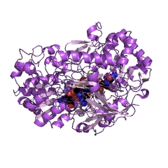Example Structure of trimethylamine-N-oxide reductase EC#: 1.7.2.3