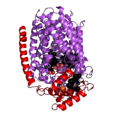 Example Structure of nitric oxide reductase (cytochrome c) EC#: 1.7.2.5