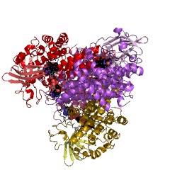 Example Structure of nitroalkane oxidase EC#: 1.7.3.1