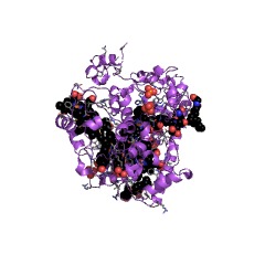Example Structure of hydroxylamine oxidase EC#: 1.7.3.4