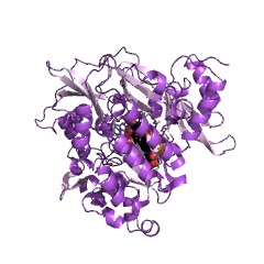Example Structure of ferredoxin-nitrite reductase EC#: 1.7.7.1