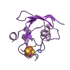 Example Structure of ferredoxin-nitrate reductase EC#: 1.7.7.2