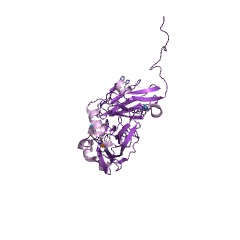 Example Structure of nitrite reductase EC#: 1.7.99.3