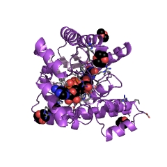 Example Structure of 5,10-methylenetetrahydrofolate reductase (FADH2) EC#: 1.7.99.5