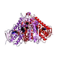 Example Structure of trypanothione-disulfide reductase EC#: 1.8.1.12