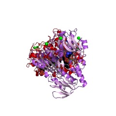 Example Structure of CoA-disulfide reductase EC#: 1.8.1.14