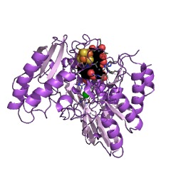 Example Structure of assimilatory sulfite reductase (NADPH) EC#: 1.8.1.2