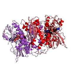 Example Structure of 2-oxopropyl-CoM reductase (carboxylating) EC#: 1.8.1.5