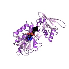Example Structure of thioredoxin-disulfide reductase EC#: 1.8.1.9