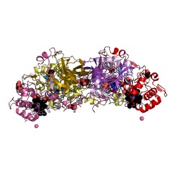 Example Structure of sulfite dehydrogenase (cytochrome) EC#: 1.8.2.1