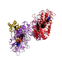 Example Structure of sulfide-cytochrome-c reductase (flavocytochrome c) EC#: 1.8.2.3