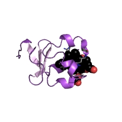 Example Structure of sulfite oxidase EC#: 1.8.3.1