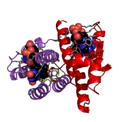 Example Structure of thiol oxidase EC#: 1.8.3.2