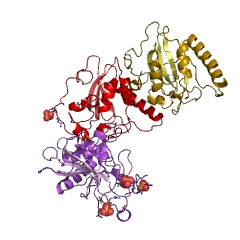 Example Structure of peptide-methionine (S)-S-oxide reductase EC#: 1.8.4.11