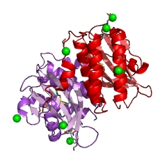 Example Structure of L-methionine (R)-S-oxide reductase EC#: 1.8.4.14