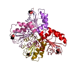Example Structure of enzyme-thiol transhydrogenase (glutathione-disulfide) EC#: 1.8.4.7