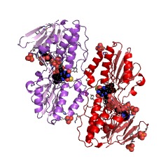 Example Structure of bacterial sulfide:quinone reductase EC#: 1.8.5.4