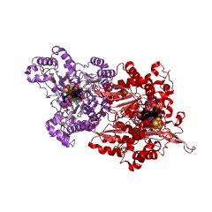 Example Structure of assimilatory sulfite reductase (ferredoxin) EC#: 1.8.7.1