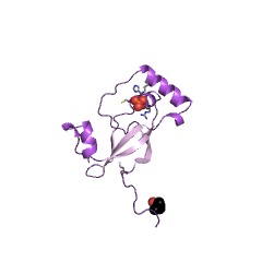 Example Structure of sulfiredoxin EC#: 1.8.98.2