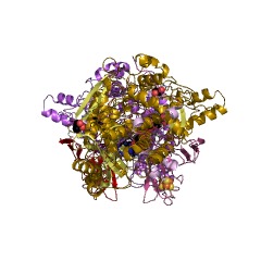 Example Structure of adenylyl-sulfate reductase EC#: 1.8.99.2
