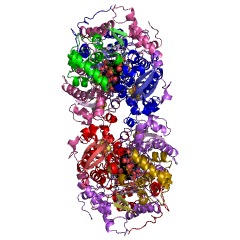 Example Structure of hydrogensulfite reductase EC#: 1.8.99.3