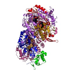 Example Structure of dissimilatory sulfite reductase EC#: 1.8.99.5