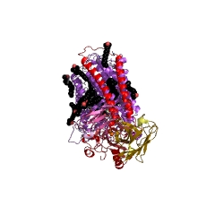 Example Structure of cytochrome-c oxidase EC#: 1.9.3.1