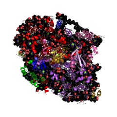 Example Structure of photosystem I EC#: 1.97.1.12
