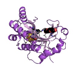 מבנה דוגמא של אנזים מפעיל [formate-C-acetyltransferase] EC #: 1.97.1.4