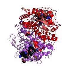Example Structure of tetrachloroethene reductive dehalogenase EC#: 1.97.1.8