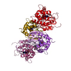 Estructura de ejemplo de nicotinamida N-metiltransferasa EC #: 2.1.1.1