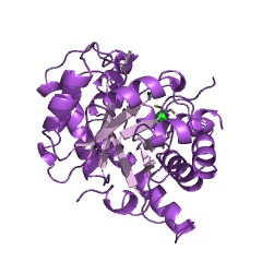 Contoh Struktur homosistein S-metiltransferase EC #: 2.1.1.10