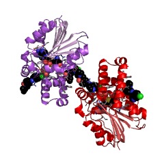 Example Structure of phosphoethanolamine N-methyltransferase EC#: 2.1.1.103