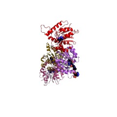 Example Structure of caffeoyl-CoA O-methyltransferase EC#: 2.1.1.104