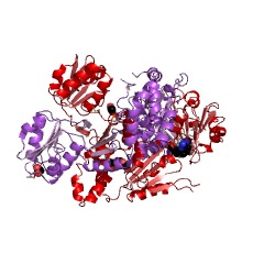 Example Structure of uroporphyrinogen-III C-methyltransferase EC#: 2.1.1.107