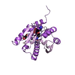 Example Structure of magnesium protoporphyrin IX methyltransferase EC#: 2.1.1.11