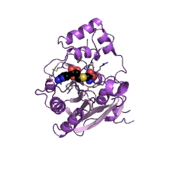 Example Structure of site-specific DNA-methyltransferase (cytosine-N4-specific) EC#: 2.1.1.113