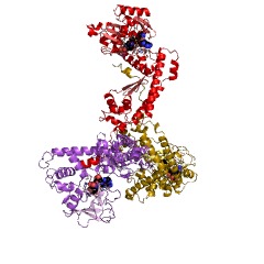 Example Structure of [ribulose-bisphosphate carboxylase]-lysine N-methyltransferase EC#: 2.1.1.127