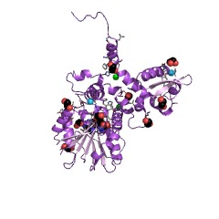 Example Structure of (RS)-norcoclaurine 6-O-methyltransferase EC#: 2.1.1.128