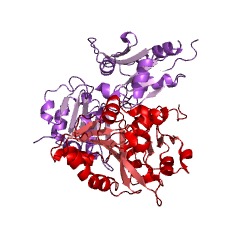 Example Structure of precorrin-2 C20-methyltransferase EC#: 2.1.1.130