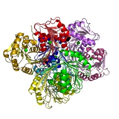 Example Structure of precorrin-6B C5,15-methyltransferase (decarboxylating) EC#: 2.1.1.132