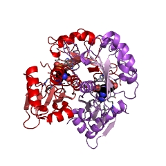 Example Structure of precorrin-4 C11-methyltransferase EC#: 2.1.1.133