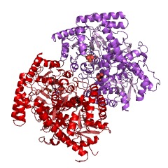 Example Structure of 5-methyltetrahydropteroyltriglutamate-homocysteine S-methyltransferase EC#: 2.1.1.14