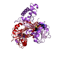 Example Structure of trans-aconitate 2-methyltransferase EC#: 2.1.1.144